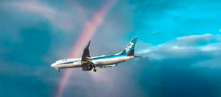 Passenger On Tokyo-Houston Flight Attempts To Open Emergency Exit Mid-Air, Threatens To Kill All