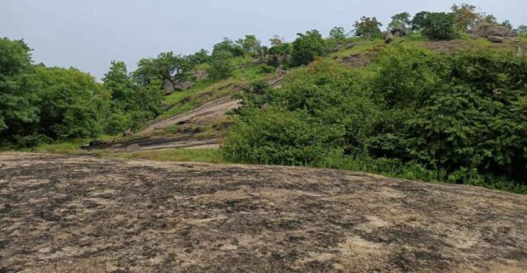 Vinmir Resources Pvt Ltd Bags Critical Mineral Block In Odisha In 5th Auction