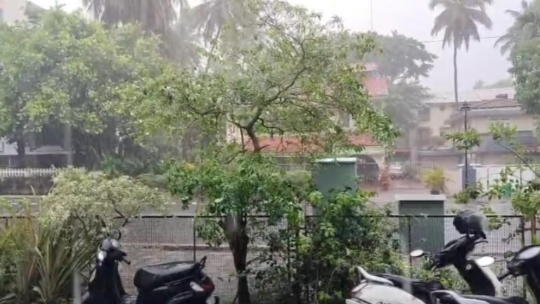 Odisha Lashed By Pre-Monsoon Showers