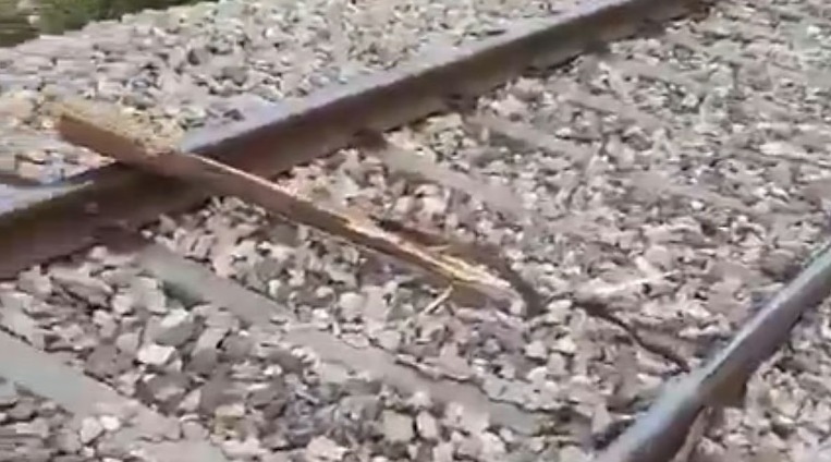 Train Sabotage Foiled: Alert Loco Pilots Prevent Twin Derailment Attempts in UP’s Hardoi