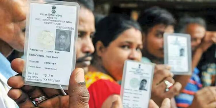 Fast track of voter cards