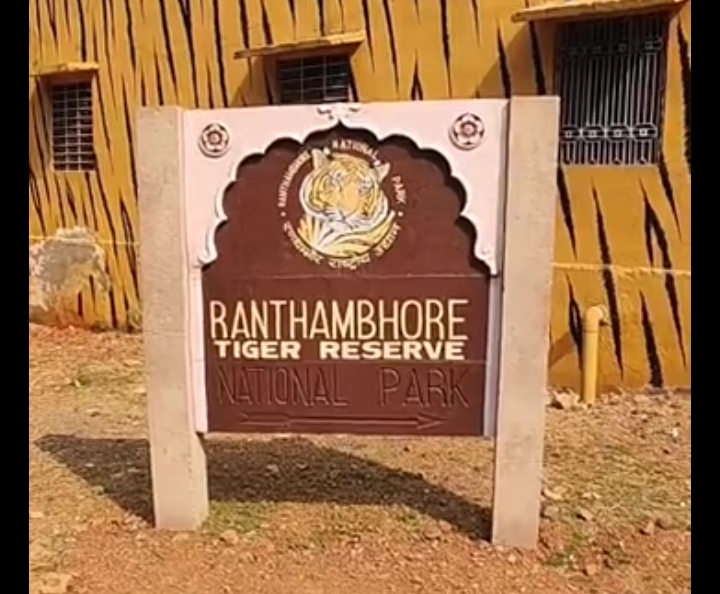 SC Bans Mining Activity Within Ranthambore Tiger Reserve, Sets Up Committee To Look Into Other Issues
