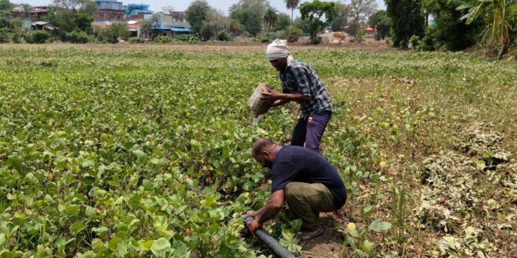 MP farmers don't get weather forecast