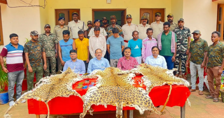 Schoolteacher Among 7 Held For Wildlife Smuggling In Odisha’s Similipal