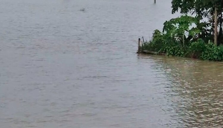 Flood Threat Looms Over Odisha As Major Rivers Breach Danger Mark Amid Heavy Rain