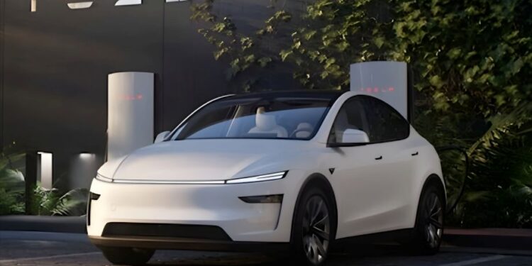 Tesla in India