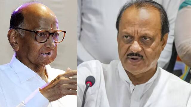 Will Sharad Pawar Reunite With Nephew Ajit Pawar? Here’s What He Said