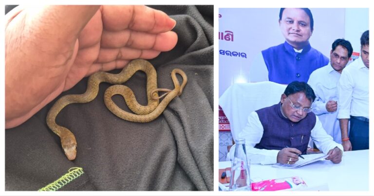 Snake Rescued From Odisha CM’s Grievance Cell In Bhubaneswar
