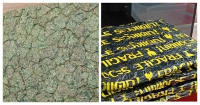 Marijuana Worth Rs 4 Cr Seized At Bhubaneswar Airport, Punjab Couple Held