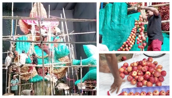 Odisha Club Celebrates Its Golden Jubilee With 26-Foot Ganesh Idol Of Apples