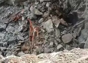 Quarry accident