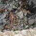 Quarry accident
