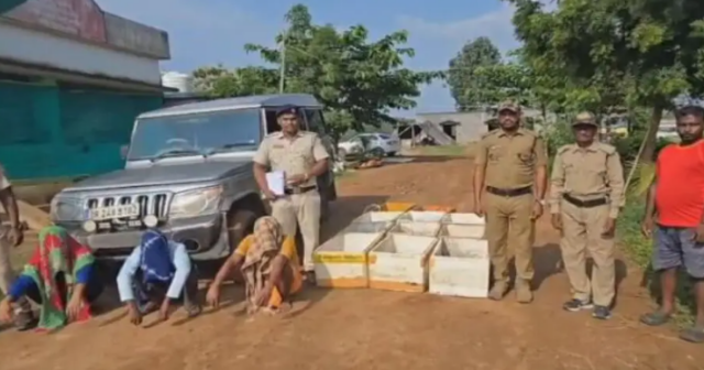 Over 1000 Turtles Seized From Smugglers In Odisha’s Malkangiri; 3 Held