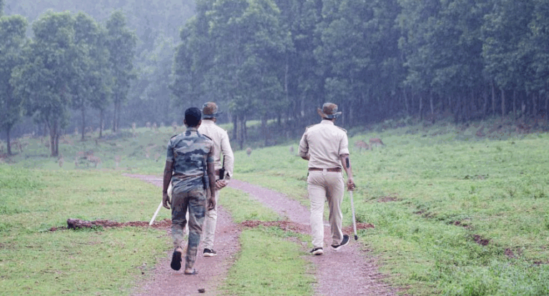 Odisha Mandates Monthly Foot Patrolling Targets In Forests: 100 KM For Protection Squads To 10 KM For RCCF