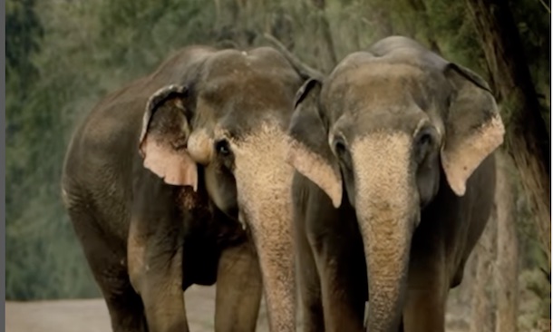 Reliance-Owned Vantara Pledges Full Cooperation To Supreme Court SIT In Fact-Finding Inquiry