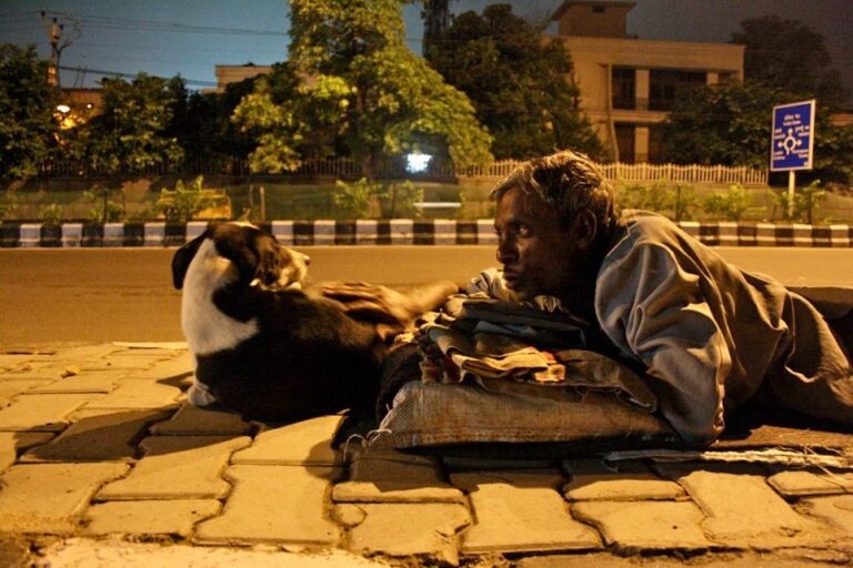 SC Stray Dog Order Referred to Larger Bench; Hearing on August 14