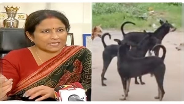 Bhubaneswar Mayor Hails SC Stray Dog Order, Canine Census In City Soon