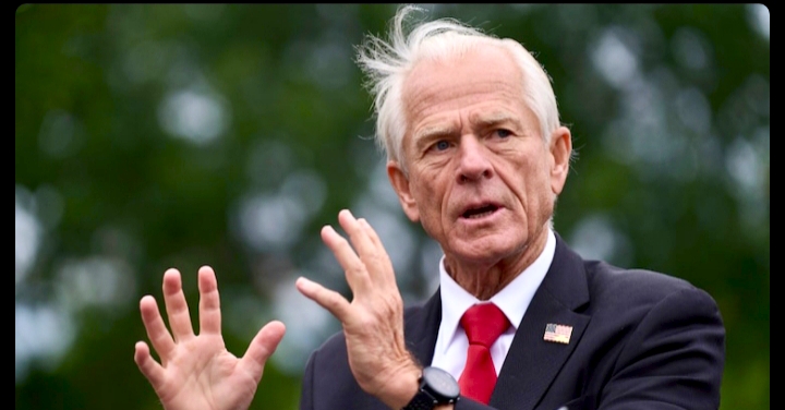 “Brahmins Profiteering”, Navarro In Fresh Tirade Against India