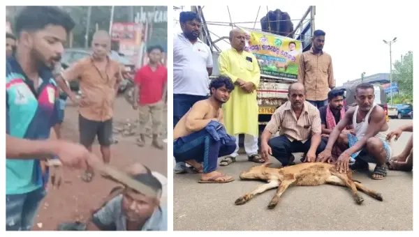 Milk Farmers Returning With Cattle Again Attacked By Cow Vigilantes In Bhubaneswar