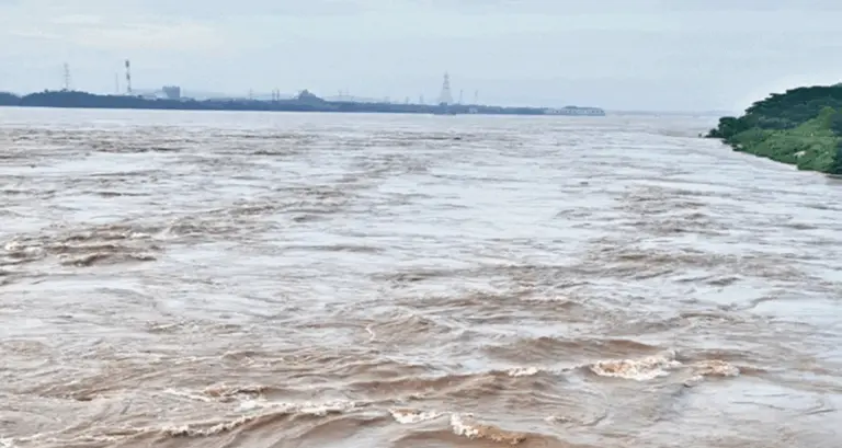 No Flood Threat In Odisha As Major Rivers Below Danger Mark