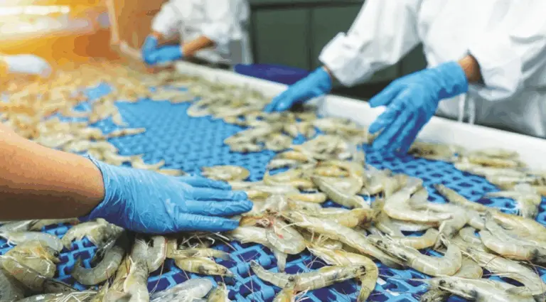 Odisha Explores Alternative Markets As US Tariff Hits Seafood Exports