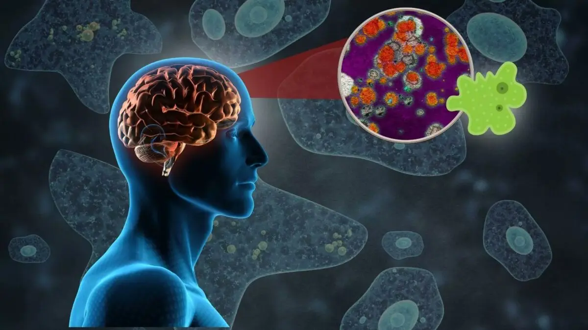 Kerala Reports 19 Deaths From “Brain-Eating Amoeba”; No Cluster So Far, Says Health Minister