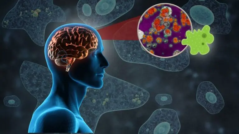 Kerala Reports 19 Deaths From “Brain-Eating Amoeba”; No Cluster So Far, Says Health Minister