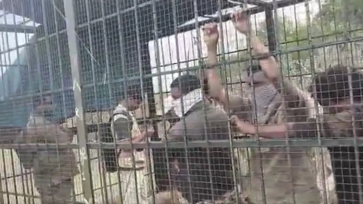 [Watch] Karnataka Villagers Lock Up Forest Officials In Cage As Human Bait, Here’s Why