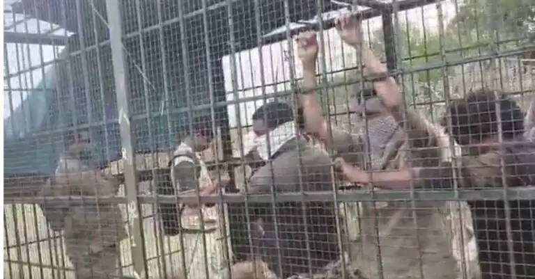 [Watch] Karnataka Villagers Lock Up Forest Officials In Cage As Human Bait, Here’s Why