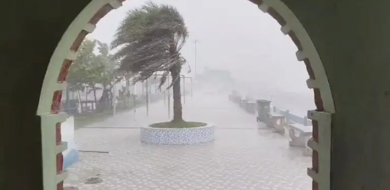 Cyclone ‘Montha’: Schools Shut, Rescue Teams On Stand-By In 8 Odisha Dists Mapped As Red Zones