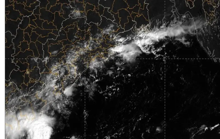 Is Odisha Bracing For Cyclone? IMD DG Clarifies Impact Of Likely Depression Over Bay