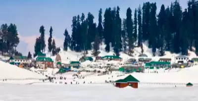 Bodies Of Missing Paratroopers Found Inside Kashmir Forest; Hypothermia Suspected