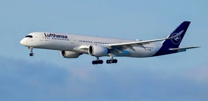 Indian Student Arrested In US For Stabbing Two With Fork On Flight To Germany