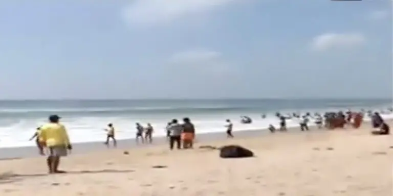 Cyclone Montha: No Entry To Puri Beach For 3 Days, Leaves Of Govt Employees Cancelled In 7 Dists