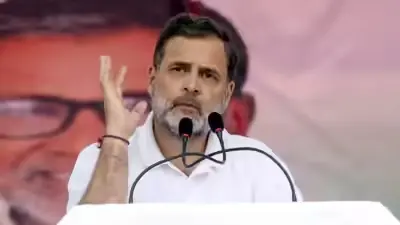Rahul Gandhi slams Narendra Modi