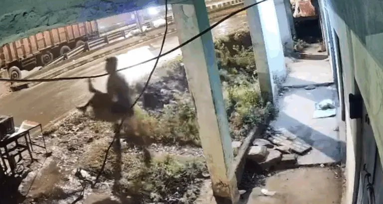 Woman Abducted From Odisha’s Bhadrak Rescued; Truck Driver Arrested