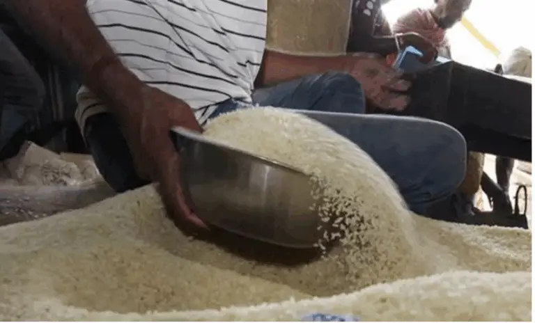 Odisha Govt Plans To Double Monthly Rice Quota For Ration Card Holders To 10 Kg
