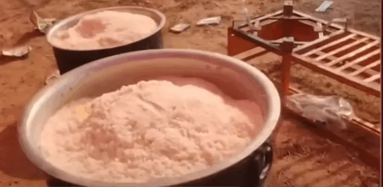 Did 13 Cattle Die After Eating Discarded Food From Odisha CM’s Event In Nuapada? BJD Slams Govt