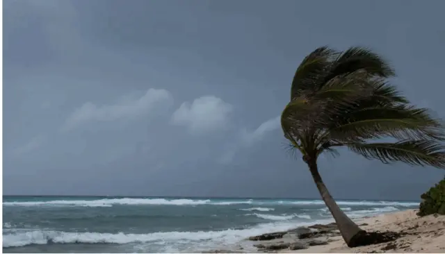 Odisha Braces For Very Heavy Rain As LoPAR Turns Depression; Cyclone Montha Likely In 48 Hours