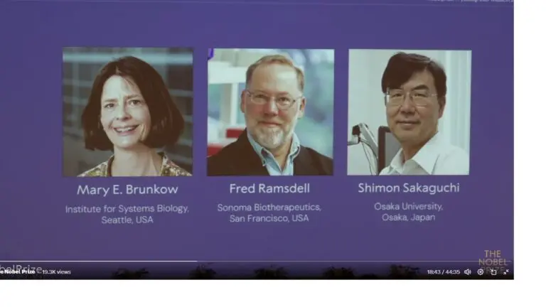 Brunkow, Ramsdell & Sakaguchi Win 2025 Nobel For Medicine, Here’s Why