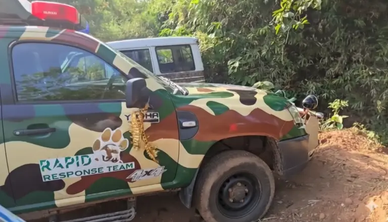 Skeletal Remains Found In Chandaka Sanctuary On Bhubaneswar Outskirts