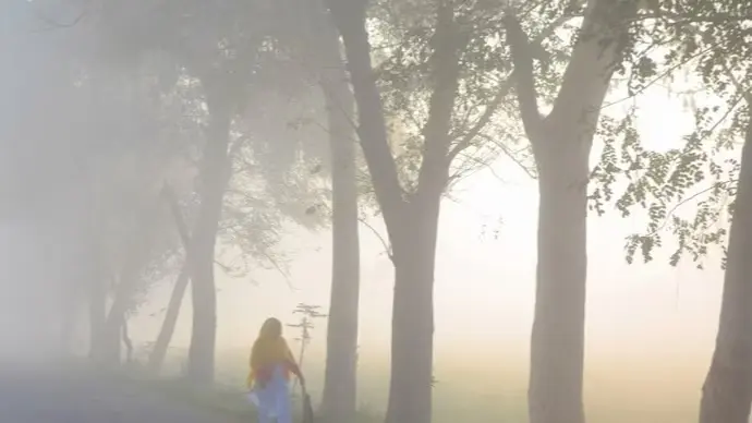 Mercury Drops Below 15°C At 18 Places In Odisha As Cold Spell Persists; Check Lowest Temp