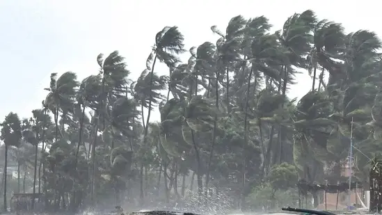 Cyclone Ditwah in Tamil Nadu