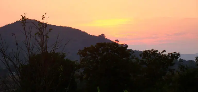 Mercury Plummets To 8°C In Odisha’s Hill Stations; 20 Places Record Temp Below 15°C