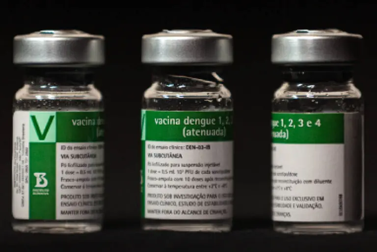 Dengue vaccine approved in Brazil