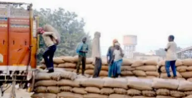 Four New Labour Codes Come Into Effect; Greater Security Net For All Workers