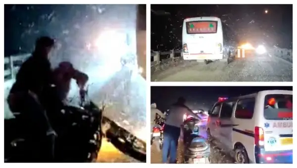 Insects Swarm Bridge In Odisha’s Jajpur; Reduce Visibility, Cause Bikers To Fall