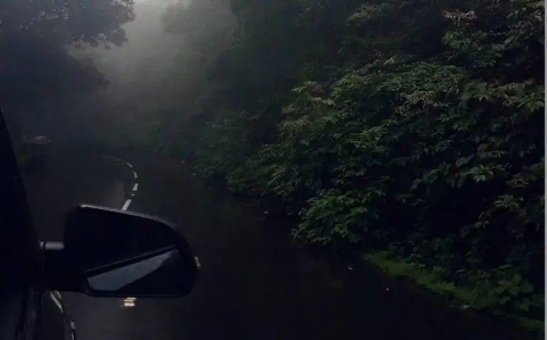 Odisha Steps Up Vigil To Curb Accidents In Picnic Season; Hefty Fines, Vehicle Seizure For Non-Compliance