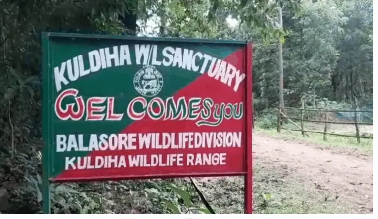 Kuldiha Wildlife Sanctuary In Odisha Reopens After Six-Month Hiatus