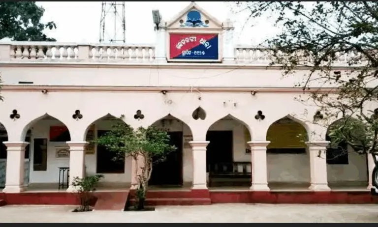 Tehsildar, 4 Others Injured In Attack By Sand Mafia In Odisha’s Mayurbhanj